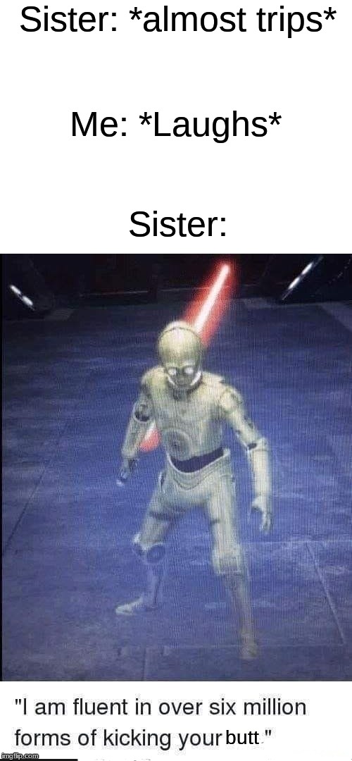 Sisters | Sister: *almost trips*; Me: *Laughs*; Sister:; butt | image tagged in i am fluent in over six million forms of kicking your ass,relatable | made w/ Imgflip meme maker