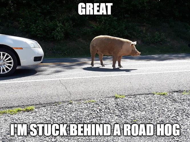 Image tagged in road hog,late for work,excuses,funny,traffic jam,memes -  Imgflip