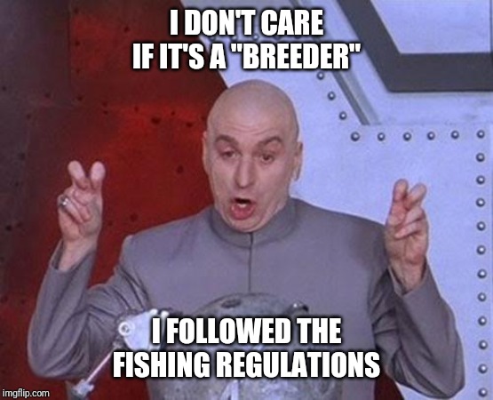 Dr Evil Laser Meme |  I DON'T CARE IF IT'S A "BREEDER"; I FOLLOWED THE FISHING REGULATIONS | image tagged in memes,dr evil laser | made w/ Imgflip meme maker