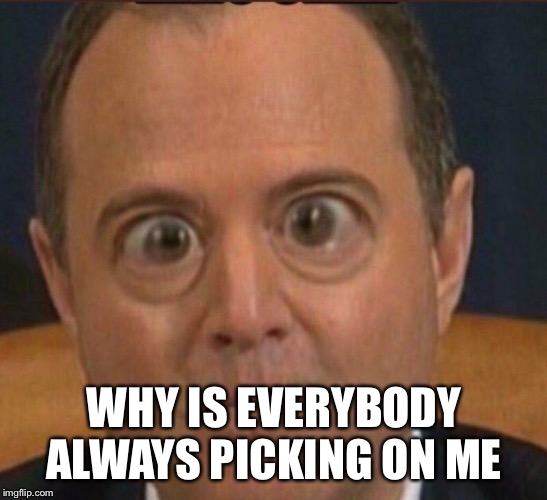 Schiff BUG EYE | WHY IS EVERYBODY ALWAYS PICKING ON ME | image tagged in schiff bug eye | made w/ Imgflip meme maker