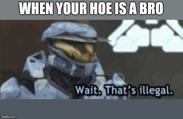Wait that’s illegal | WHEN YOUR HOE IS A BRO | image tagged in wait thats illegal | made w/ Imgflip meme maker