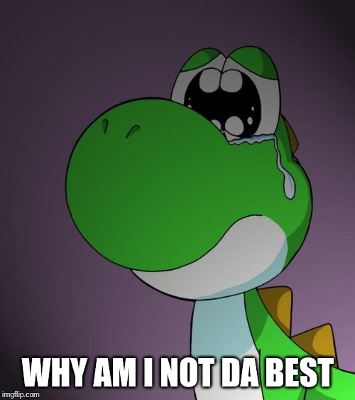 Sad Yoshi | WHY AM I NOT DA BEST | image tagged in sad yoshi | made w/ Imgflip meme maker