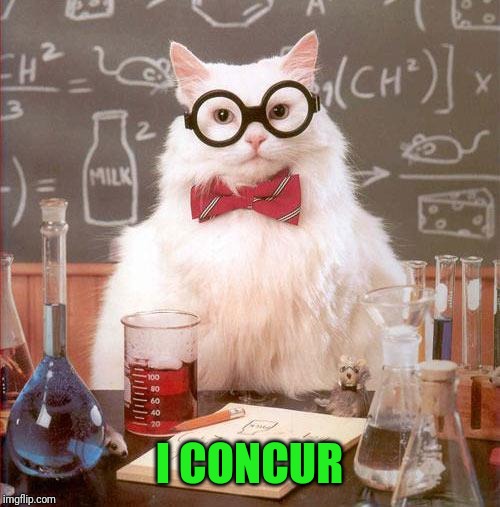 Science Cat | I CONCUR | image tagged in science cat | made w/ Imgflip meme maker