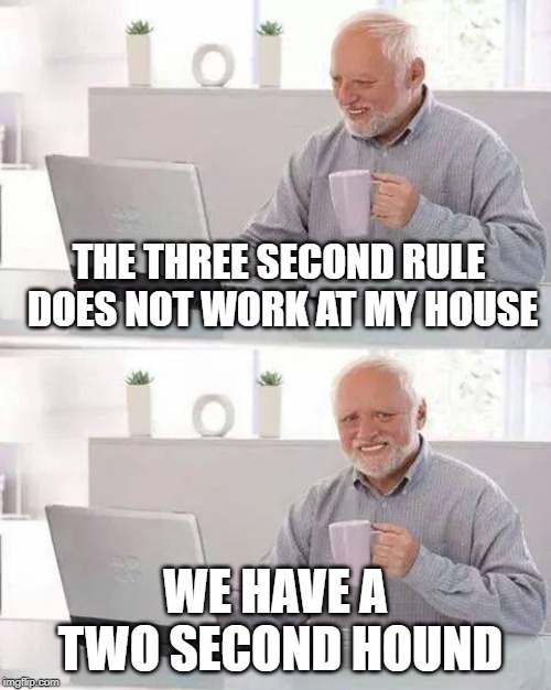 Hide the Pain Harold Meme | THE THREE SECOND RULE DOES NOT WORK AT MY HOUSE; WE HAVE A TWO SECOND HOUND | image tagged in memes,hide the pain harold | made w/ Imgflip meme maker