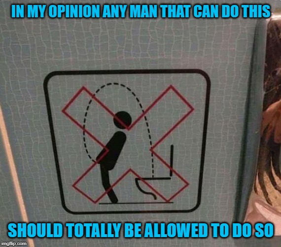 You gotta have confidence in your stream for that maneuver! | IN MY OPINION ANY MAN THAT CAN DO THIS; SHOULD TOTALLY BE ALLOWED TO DO SO | image tagged in funny signs,memes,peeing,funny,no stunts,signs | made w/ Imgflip meme maker