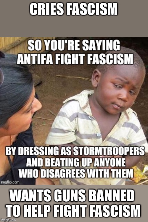 CRIES FASCISM; WANTS GUNS BANNED TO HELP FIGHT FASCISM | image tagged in politics,liberal logic | made w/ Imgflip meme maker