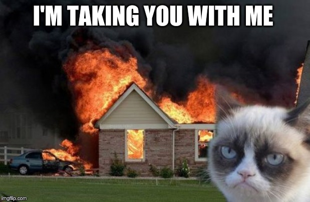 Burn Kitty Meme | I'M TAKING YOU WITH ME | image tagged in memes,burn kitty,grumpy cat | made w/ Imgflip meme maker