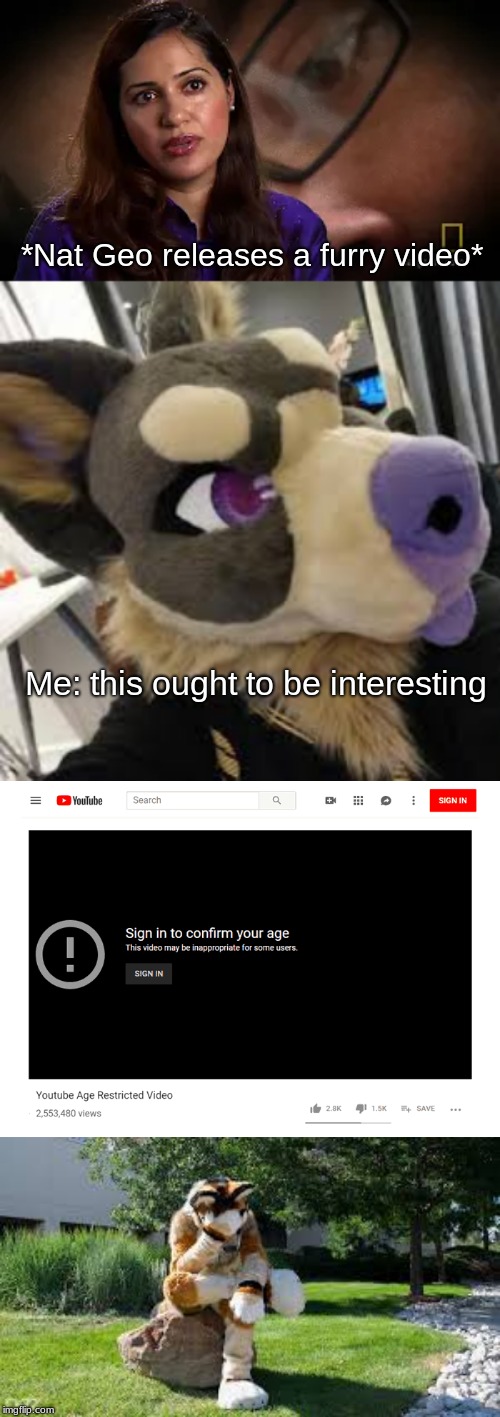 Furries' Reaction | *Nat Geo releases a furry video*; Me: this ought to be interesting | image tagged in national geographic,furries,furry,nat geo,reaction,so true | made w/ Imgflip meme maker