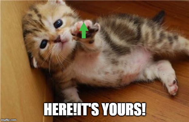 Help Me Kitten | HERE!IT'S YOURS! | image tagged in help me kitten | made w/ Imgflip meme maker