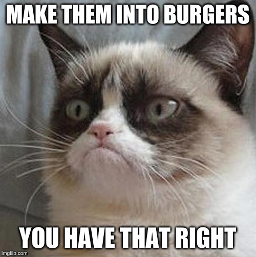 Angry cat | MAKE THEM INTO BURGERS YOU HAVE THAT RIGHT | image tagged in angry cat | made w/ Imgflip meme maker