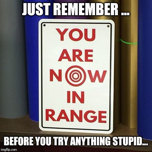 In range | JUST REMEMBER ... BEFORE YOU TRY ANYTHING STUPID... | image tagged in in range | made w/ Imgflip meme maker