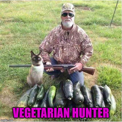 It's a lot safer hunting them veggies. | VEGETARIAN HUNTER | image tagged in vegetarian hunter,memes,vegetarians,funny,cats | made w/ Imgflip meme maker