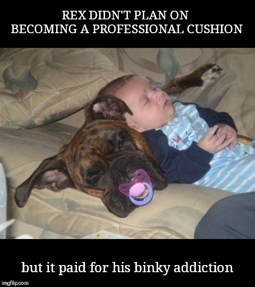 Jones'in for a fix | REX DIDN'T PLAN ON BECOMING A PROFESSIONAL CUSHION; but it paid for his binky addiction | image tagged in baby and best friend,cute dog,baby | made w/ Imgflip meme maker