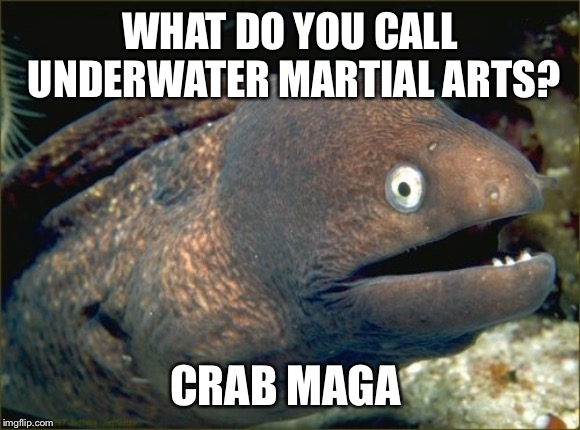 HIY-YA!!!!!!!!!! | WHAT DO YOU CALL UNDERWATER MARTIAL ARTS? CRAB MAGA | image tagged in memes,bad joke eel | made w/ Imgflip meme maker