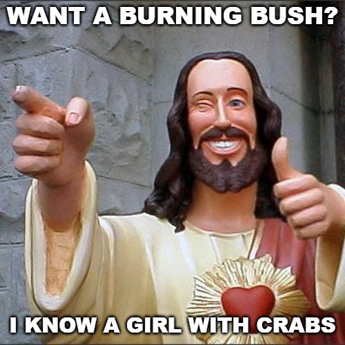 Buddy Christ | WANT A BURNING BUSH? I KNOW A GIRL WITH CRABS | image tagged in memes,buddy christ | made w/ Imgflip meme maker