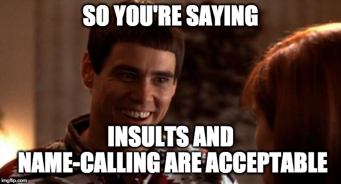 So you're saying there's a chance | SO YOU'RE SAYING; INSULTS AND NAME-CALLING ARE ACCEPTABLE | image tagged in so you're saying there's a chance | made w/ Imgflip meme maker