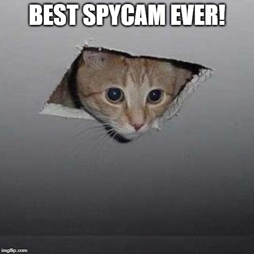 Ceiling Cat Meme | BEST SPYCAM EVER! | image tagged in memes,ceiling cat | made w/ Imgflip meme maker