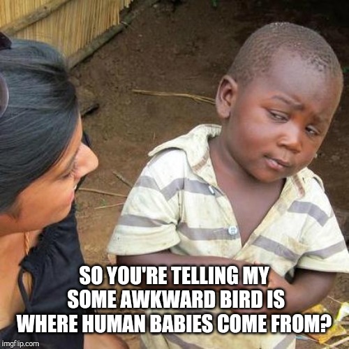 Third World Skeptical Kid Meme | SO YOU'RE TELLING MY SOME AWKWARD BIRD IS WHERE HUMAN BABIES COME FROM? | image tagged in memes,third world skeptical kid | made w/ Imgflip meme maker