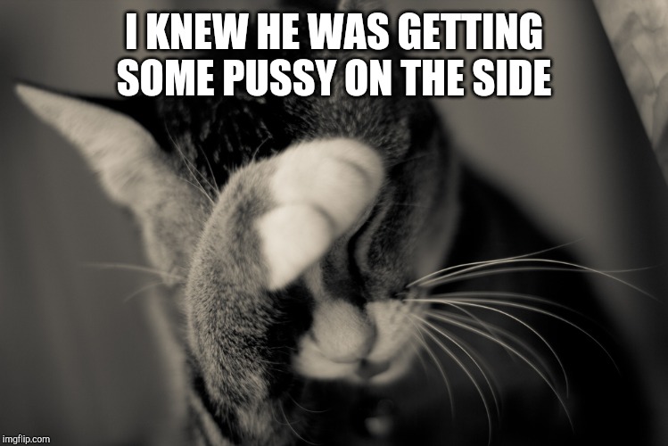 Facepalm cat | I KNEW HE WAS GETTING SOME PUSSY ON THE SIDE | image tagged in facepalm cat | made w/ Imgflip meme maker