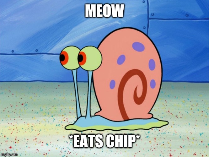 gary the snail | MEOW *EATS CHIP* | image tagged in gary the snail | made w/ Imgflip meme maker