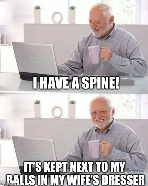 Hide the Pain Harold Meme | I HAVE A SPINE! IT’S KEPT NEXT TO MY BALLS IN MY WIFE’S DRESSER | image tagged in memes,hide the pain harold | made w/ Imgflip meme maker