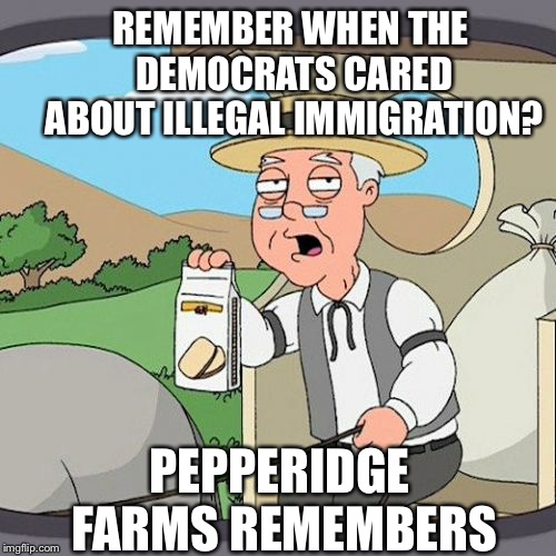 Pepperidge Farms Remembers Democrats caring about the border | REMEMBER WHEN THE DEMOCRATS CARED ABOUT ILLEGAL IMMIGRATION? PEPPERIDGE FARMS REMEMBERS | image tagged in memes,pepperidge farm remembers,democrats,immigration,illegal | made w/ Imgflip meme maker