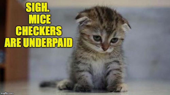 Sad kitten | SIGH.  MICE CHECKERS ARE UNDERPAID | image tagged in sad kitten | made w/ Imgflip meme maker