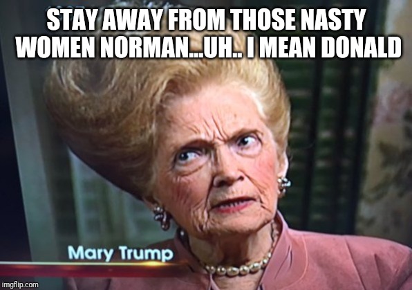 Trump/Bate Hotel | STAY AWAY FROM THOSE NASTY WOMEN NORMAN...UH..
I MEAN DONALD | image tagged in trump | made w/ Imgflip meme maker