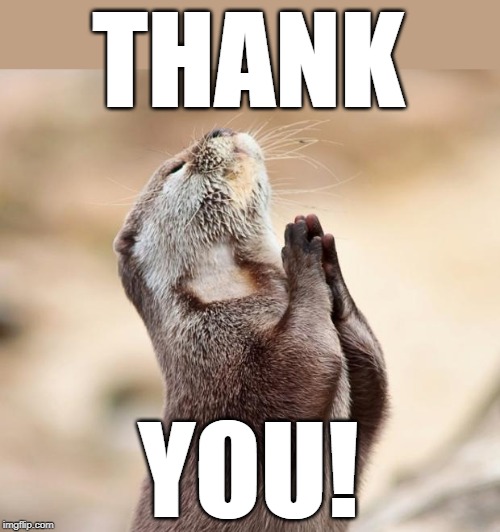 animal praying | THANK YOU! | image tagged in animal praying | made w/ Imgflip meme maker