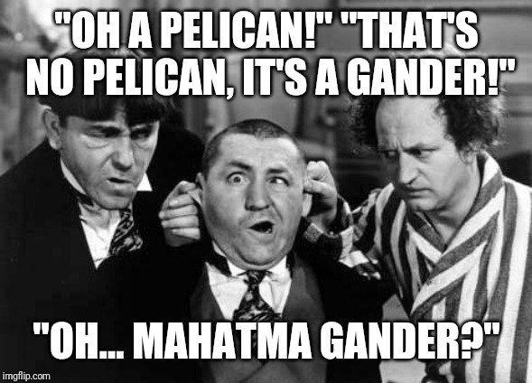 Three Stooges | "OH A PELICAN!"
"THAT'S NO PELICAN, IT'S A GANDER!"; "OH... MAHATMA GANDER?" | image tagged in three stooges | made w/ Imgflip meme maker