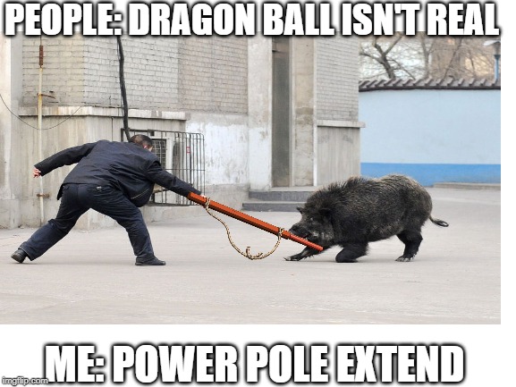 Power Pole Extend | PEOPLE: DRAGON BALL ISN'T REAL; ME: POWER POLE EXTEND | image tagged in dragonball | made w/ Imgflip meme maker