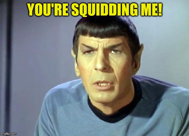 Disbelieving Spock | YOU'RE SQUIDDING ME! | image tagged in disbelieving spock | made w/ Imgflip meme maker