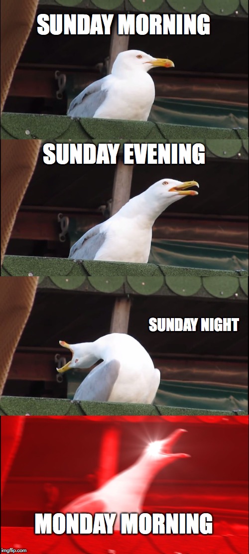 School is Coming | SUNDAY MORNING; SUNDAY EVENING; SUNDAY NIGHT; MONDAY MORNING | image tagged in memes,inhaling seagull | made w/ Imgflip meme maker
