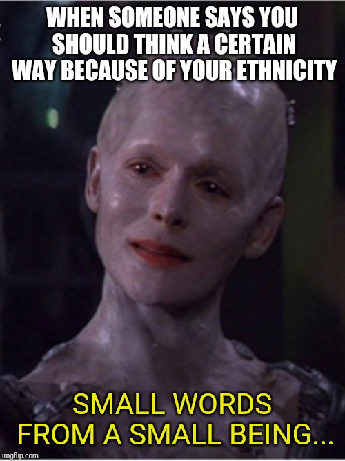 Borg Queen | WHEN SOMEONE SAYS YOU SHOULD THINK A CERTAIN WAY BECAUSE OF YOUR ETHNICITY; SMALL WORDS FROM A SMALL BEING... | image tagged in borg queen,racism,democrats,liberal logic,uncle tom | made w/ Imgflip meme maker
