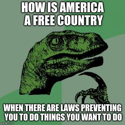 Philosoraptor Meme | HOW IS AMERICA A FREE COUNTRY; WHEN THERE ARE LAWS PREVENTING YOU TO DO THINGS YOU WANT TO DO | image tagged in memes,philosoraptor | made w/ Imgflip meme maker