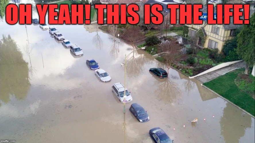 flood cars | OH YEAH! THIS IS THE LIFE! | image tagged in flood cars | made w/ Imgflip meme maker