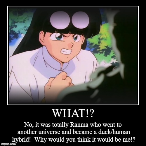WHAT!? | No, it was totally Ranma who went to another universe and became a duck/human hybrid!  Why would you think it would be me!? | image tagged in funny,demotivationals | made w/ Imgflip demotivational maker