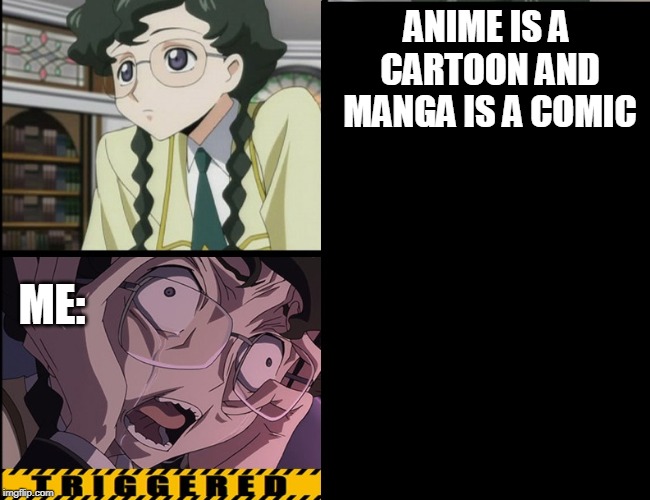 anime triggered | ANIME IS A CARTOON AND MANGA IS A COMIC ME: | image tagged in anime triggered | made w/ Imgflip meme maker