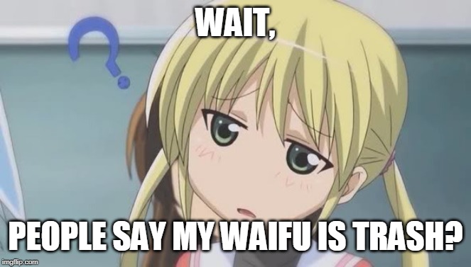 confused anime girl | WAIT, PEOPLE SAY MY WAIFU IS TRASH? | image tagged in confused anime girl | made w/ Imgflip meme maker