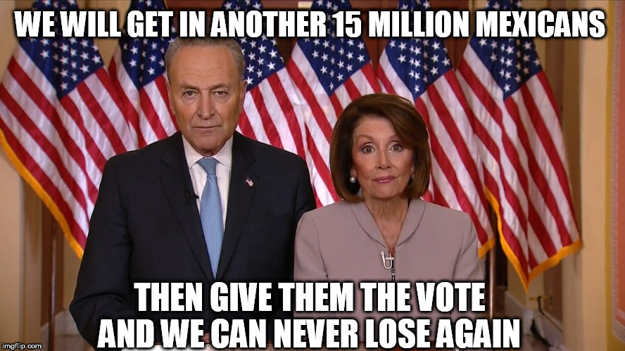 Chuck and Nancy | WE WILL GET IN ANOTHER 15 MILLION MEXICANS; THEN GIVE THEM THE VOTE AND WE CAN NEVER LOSE AGAIN | image tagged in chuck and nancy | made w/ Imgflip meme maker
