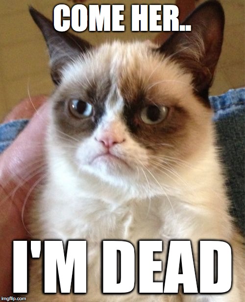 Grumpy Cat | COME HER.. I'M DEAD | image tagged in memes,grumpy cat | made w/ Imgflip meme maker