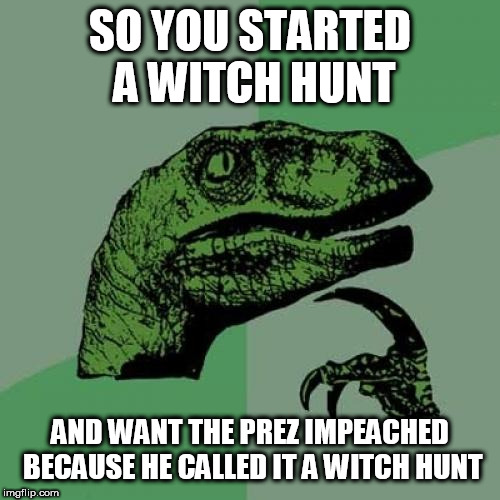 Philosoraptor | SO YOU STARTED A WITCH HUNT; AND WANT THE PREZ IMPEACHED BECAUSE HE CALLED IT A WITCH HUNT | image tagged in memes,philosoraptor | made w/ Imgflip meme maker