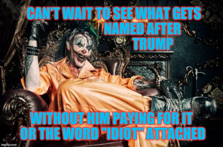 w | CAN'T WAIT TO SEE WHAT GETS                      NAMED AFTER                              TRUMP WITHOUT HIM PAYING FOR IT OR THE WORD "IDIOT | image tagged in clown s/s | made w/ Imgflip meme maker