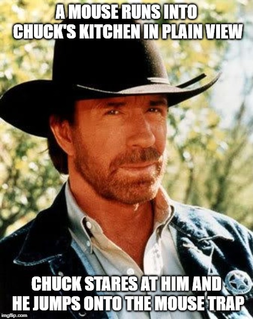 That mouse had no chance! | A MOUSE RUNS INTO CHUCK'S KITCHEN IN PLAIN VIEW; CHUCK STARES AT HIM AND HE JUMPS ONTO THE MOUSE TRAP | image tagged in memes,chuck norris | made w/ Imgflip meme maker