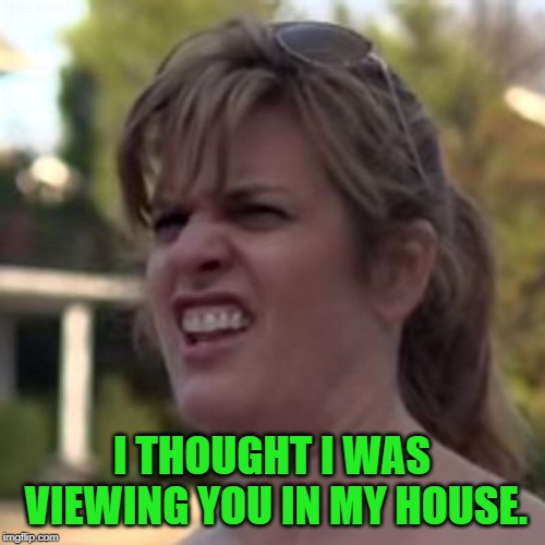 seriously? | I THOUGHT I WAS VIEWING YOU IN MY HOUSE. | image tagged in seriously | made w/ Imgflip meme maker