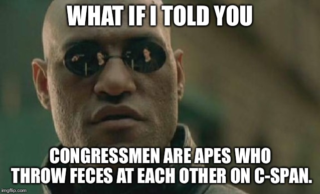 Capitol Hill is a zoo, and Congressmen are apes. | WHAT IF I TOLD YOU; CONGRESSMEN ARE APES WHO THROW FECES AT EACH OTHER ON C-SPAN. | image tagged in memes,matrix morpheus,congress,politics,apes,crap | made w/ Imgflip meme maker