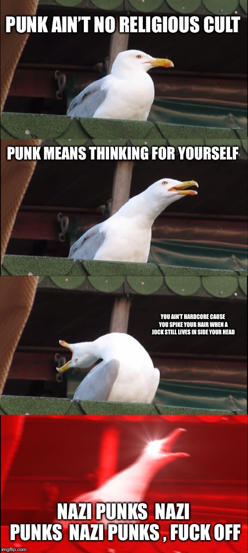 Inhaling Seagull Meme | PUNK AIN’T NO RELIGIOUS CULT; PUNK MEANS THINKING FOR YOURSELF; YOU AIN’T HARDCORE CAUSE YOU SPIKE YOUR HAIR WHEN A JOCK STILL LIVES IN SIDE YOUR HEAD; NAZI PUNKS
 NAZI PUNKS 
NAZI PUNKS , FUCK OFF | image tagged in memes,inhaling seagull | made w/ Imgflip meme maker