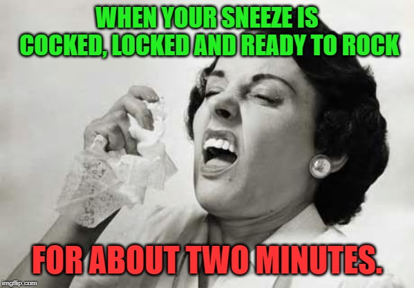 Nothing like having a sneeze stuck in the chamber! | WHEN YOUR SNEEZE IS COCKED, LOCKED AND READY TO ROCK; FOR ABOUT TWO MINUTES. | image tagged in sneezing,memes,nixieknox | made w/ Imgflip meme maker