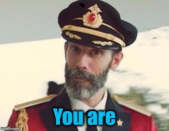 Captain Obvious | You are | image tagged in captain obvious | made w/ Imgflip meme maker