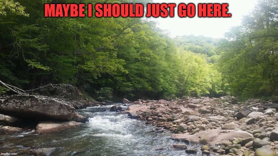 WV Mountain Stream | MAYBE I SHOULD JUST GO HERE. | image tagged in wv mountain stream | made w/ Imgflip meme maker